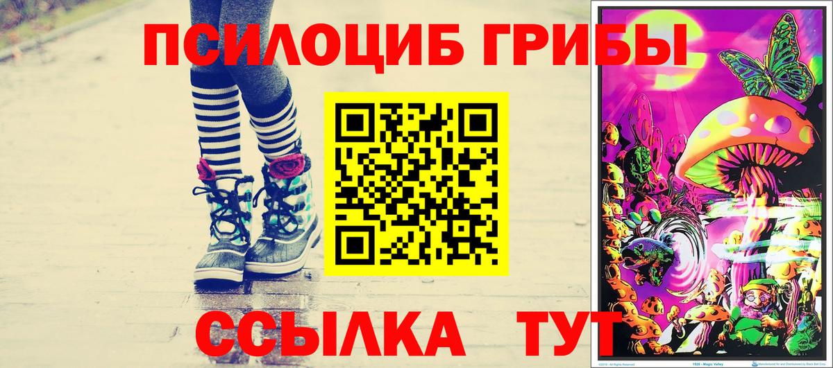 Псилоцибиновые грибы Psilocybine cubensis  Вход с VPN  Астрахань 