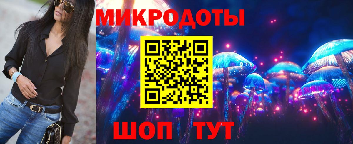 Псилоцибиновые грибы Cubensis Астрахань